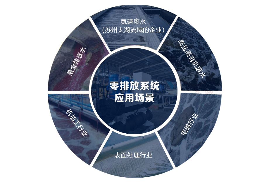 ���ŷ� ��(y��ng)�È���.jpg